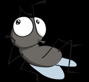 mosca (640x594)